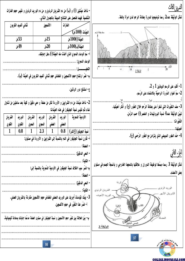 التالق في شهادة ختم التعلمي الاساسي علوم