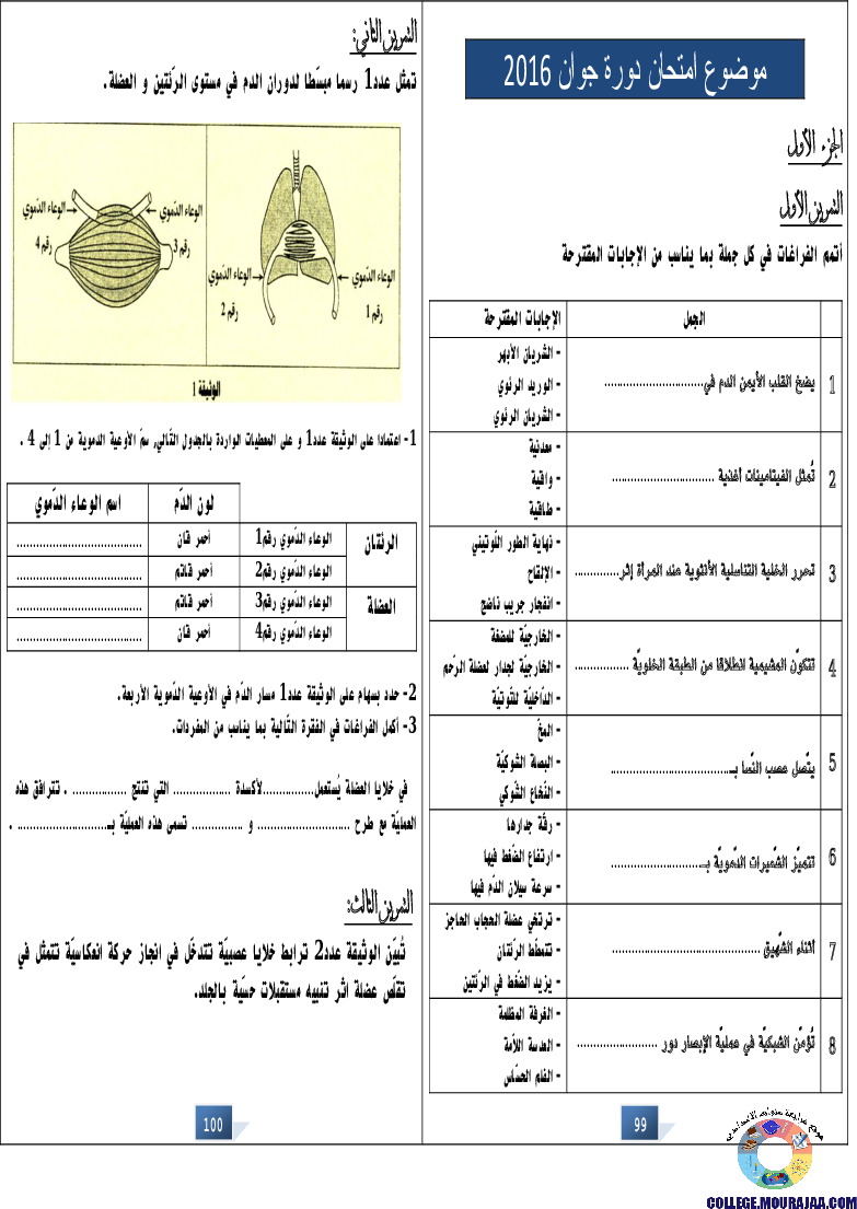 التالق في شهادة ختم التعلمي الاساسي علوم