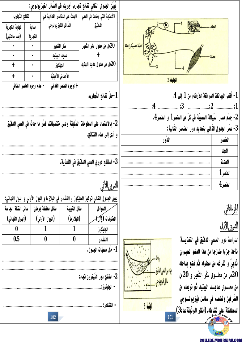التالق في شهادة ختم التعلمي الاساسي علوم