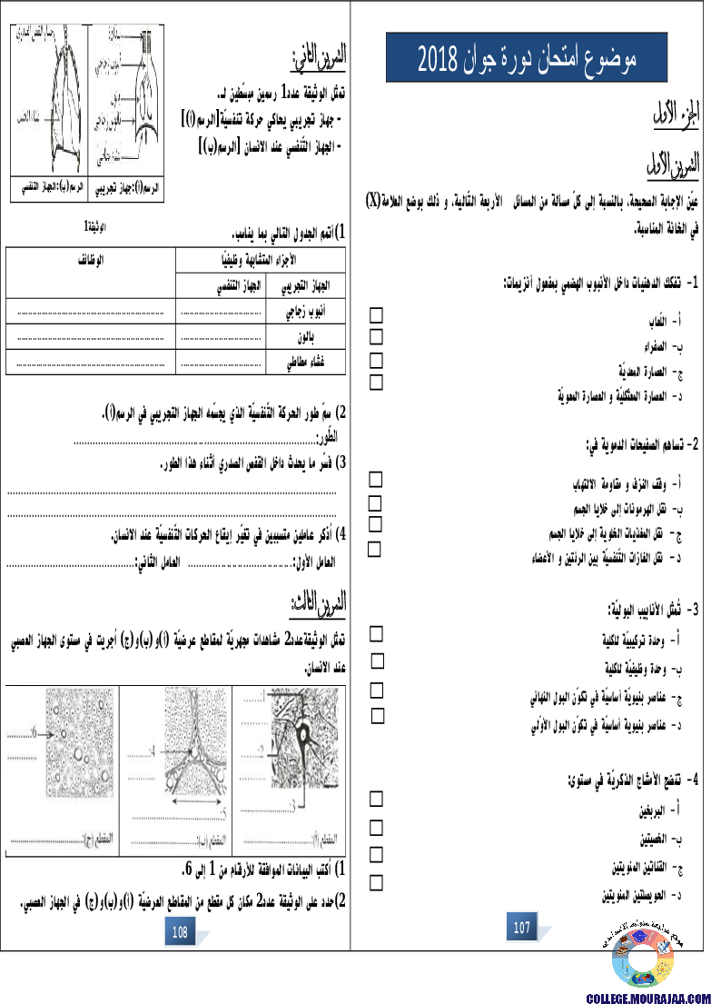 التالق في شهادة ختم التعلمي الاساسي علوم