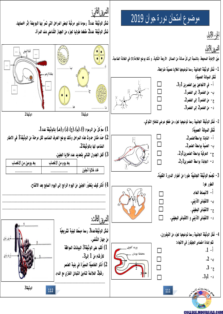 التالق في شهادة ختم التعلمي الاساسي علوم