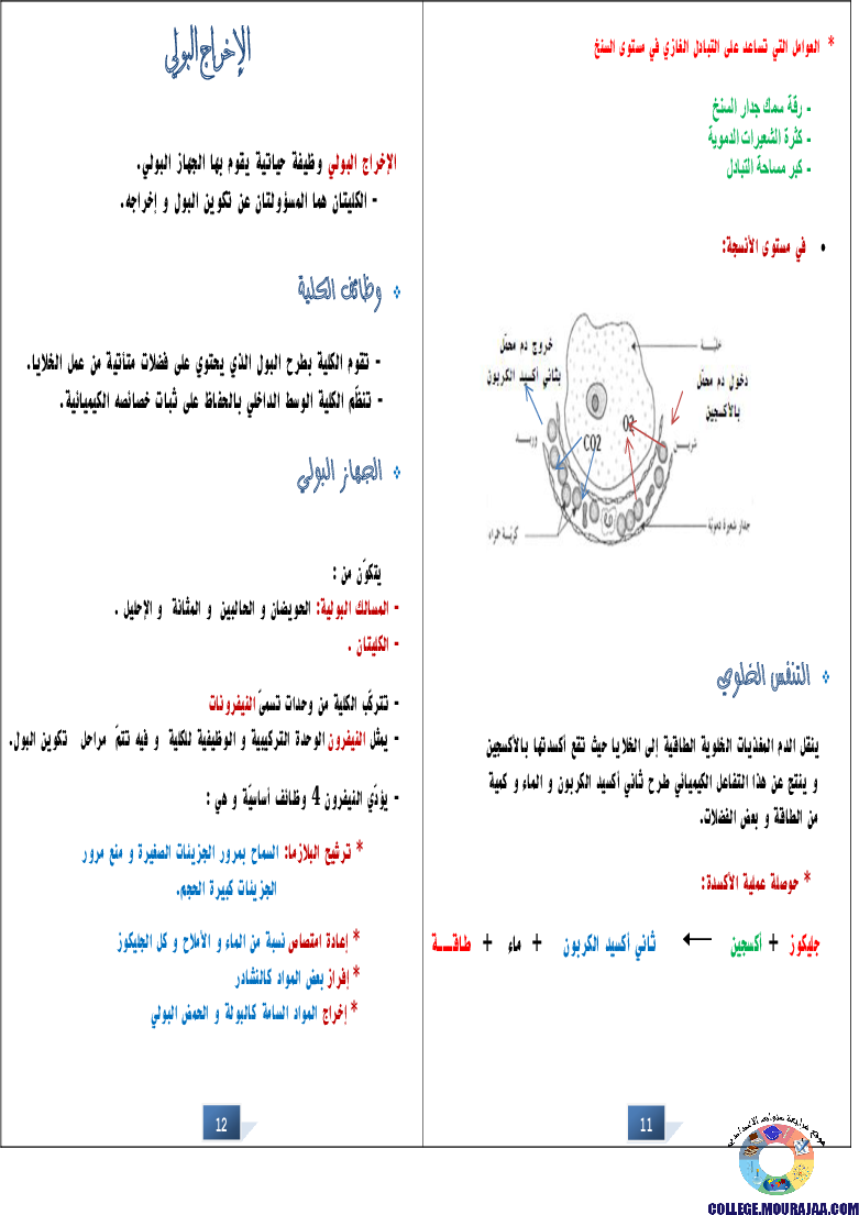 التالق في شهادة ختم التعلمي الاساسي علوم