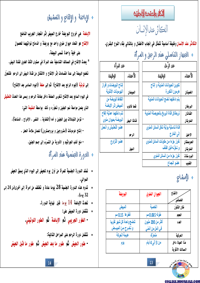 التالق في شهادة ختم التعلمي الاساسي علوم