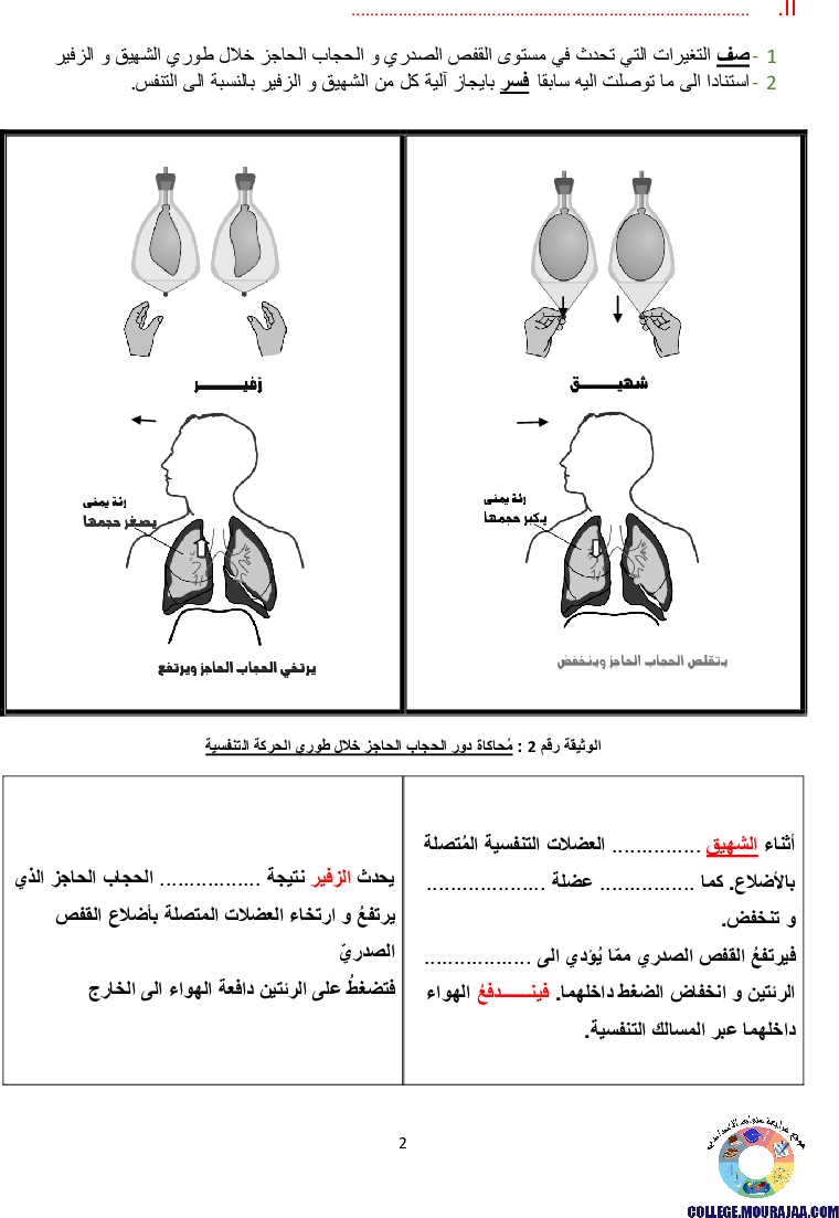 تمارين التنفس عند الانسان مع الاصلاح