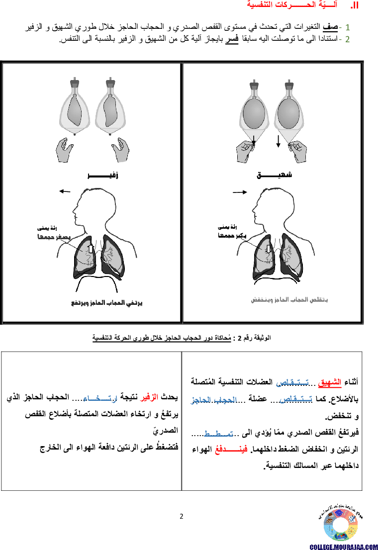 تمارين التنفس عند الانسان مع الاصلاح