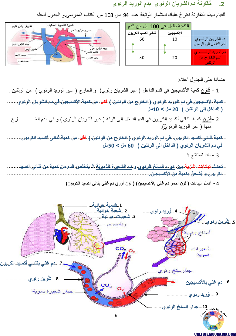 تمارين التنفس عند الانسان مع الاصلاح