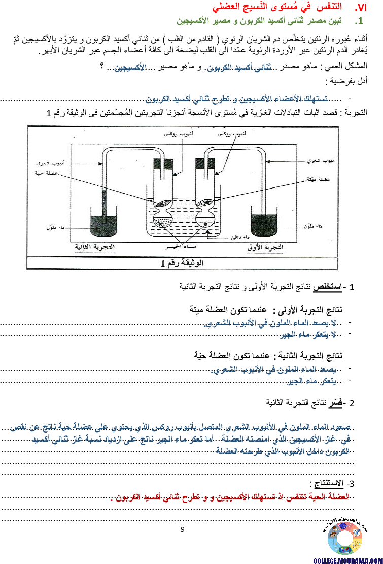 تمارين التنفس عند الانسان مع الاصلاح