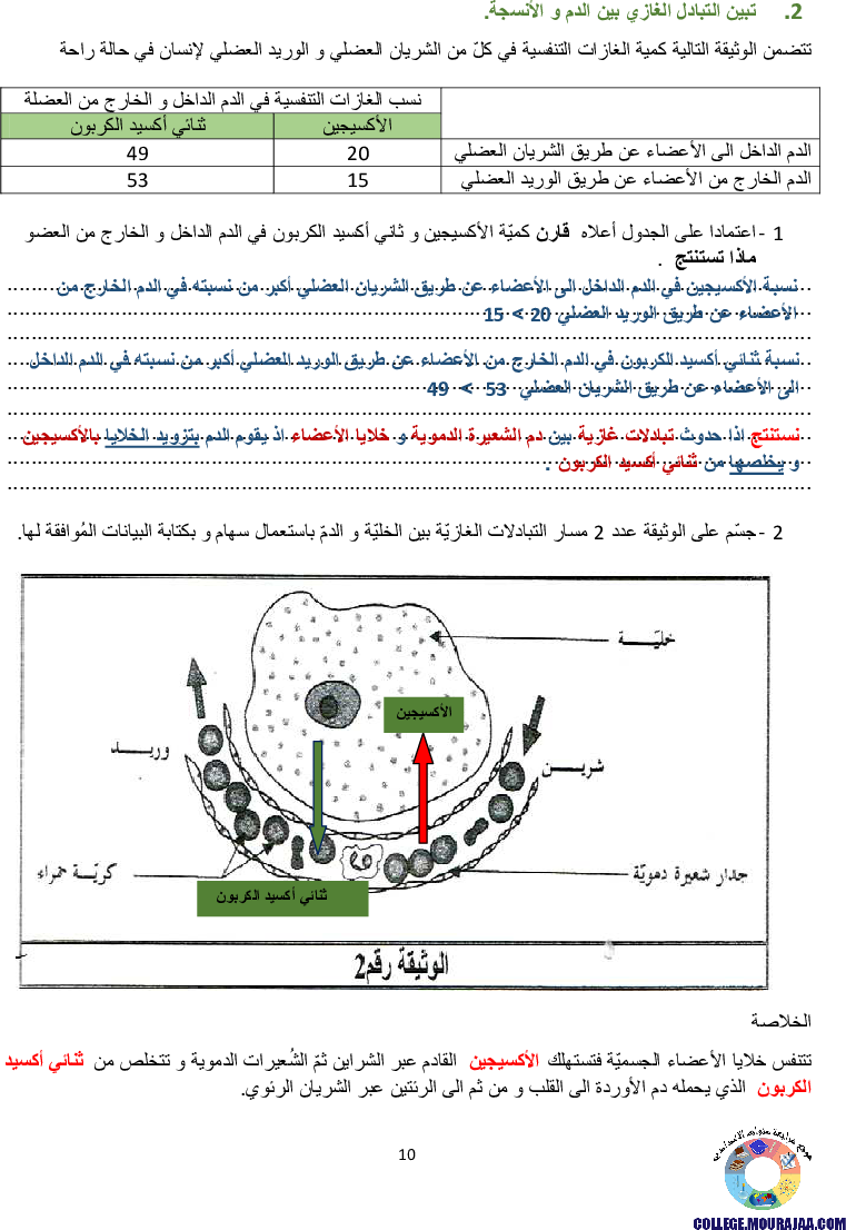 تمارين التنفس عند الانسان مع الاصلاح