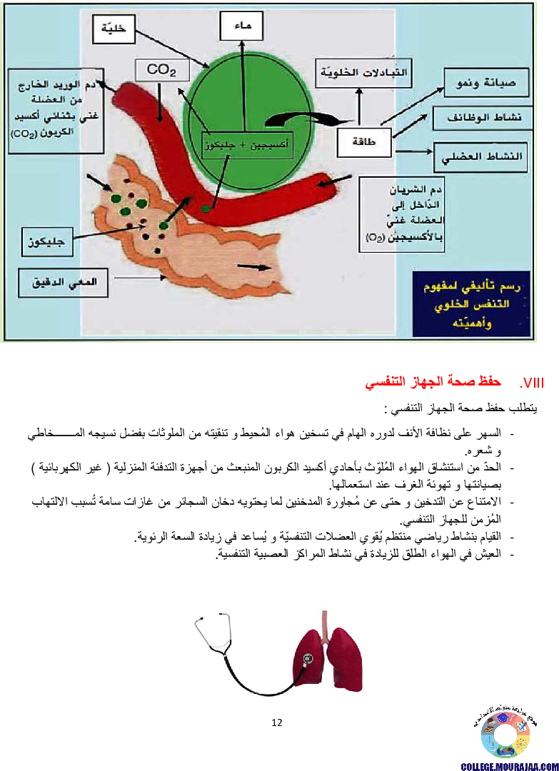تمارين التنفس عند الانسان مع الاصلاح
