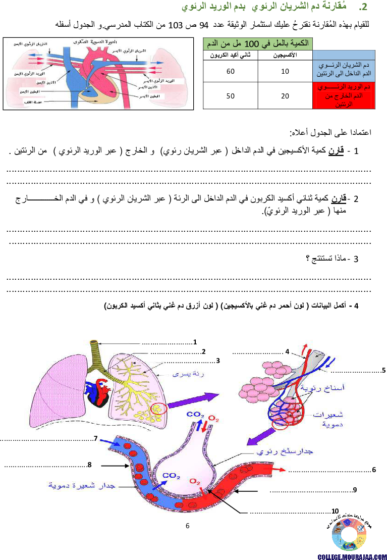 تمارين التنفس عند الانسان مع الاصلاح