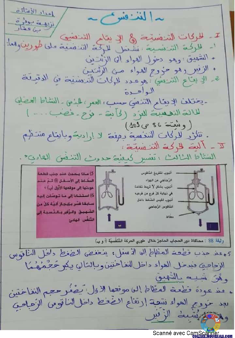 درس وظيفة التّنفّس إعداد الأستاذة نزيهة بوقرّة بن عمّار