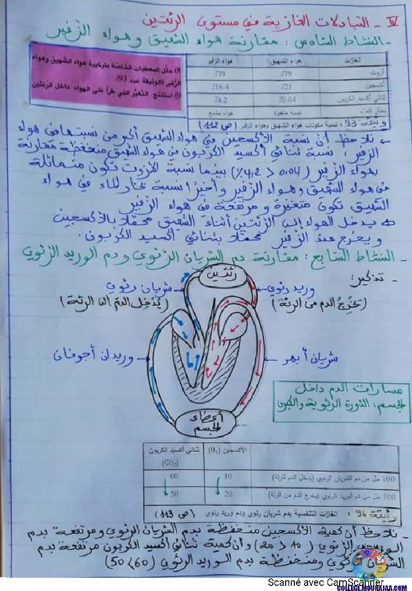 درس وظيفة التّنفّس إعداد الأستاذة نزيهة بوقرّة بن عمّار