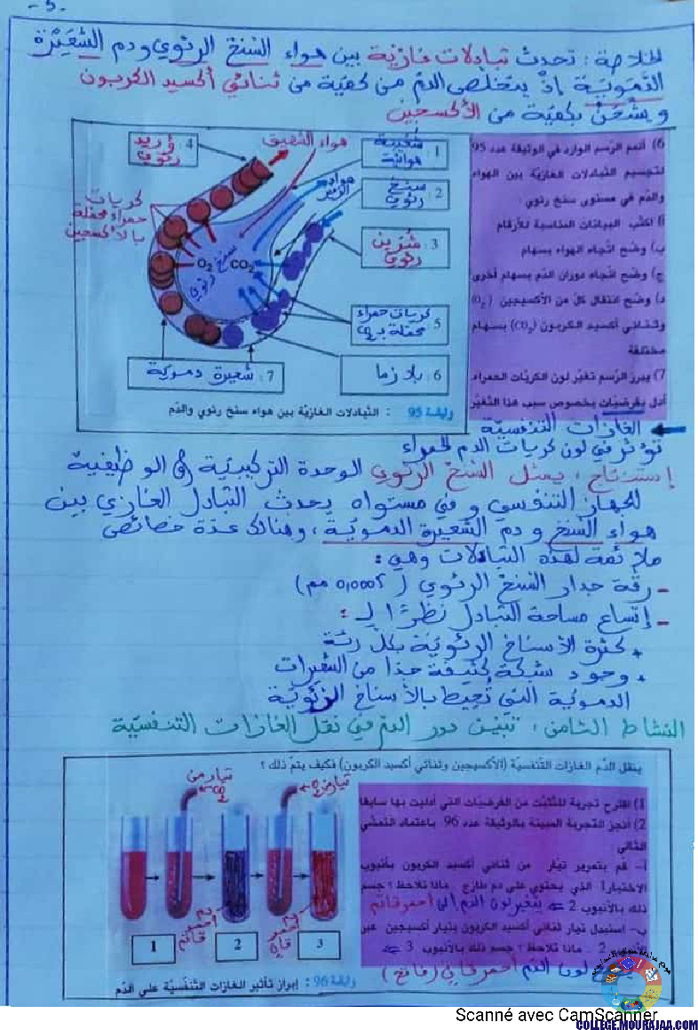 درس وظيفة التّنفّس إعداد الأستاذة نزيهة بوقرّة بن عمّار