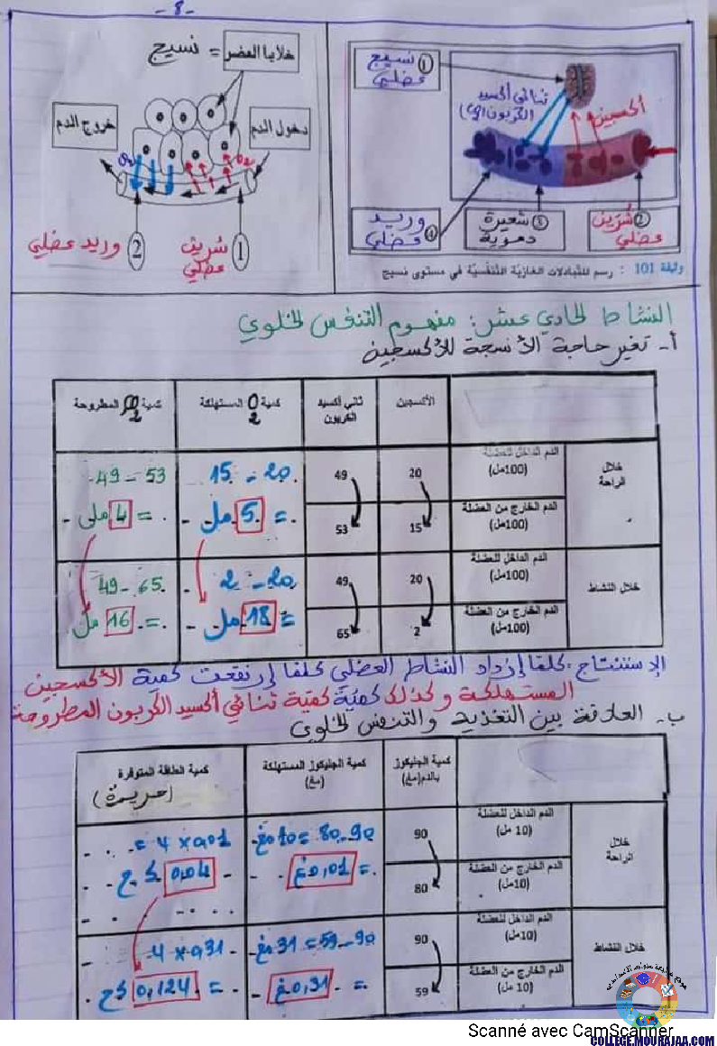 درس وظيفة التّنفّس إعداد الأستاذة نزيهة بوقرّة بن عمّار