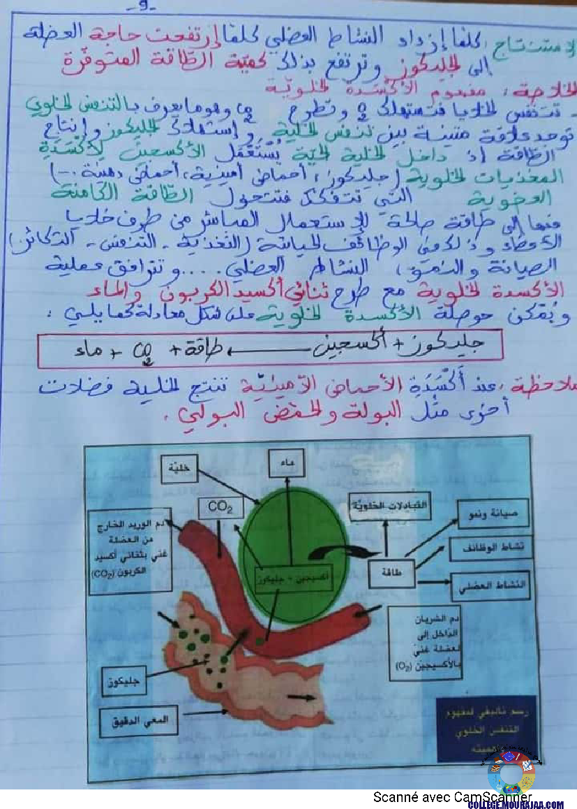 درس وظيفة التّنفّس إعداد الأستاذة نزيهة بوقرّة بن عمّار