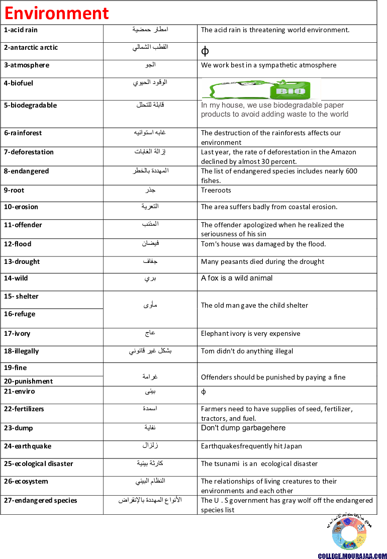 active vocab the environment