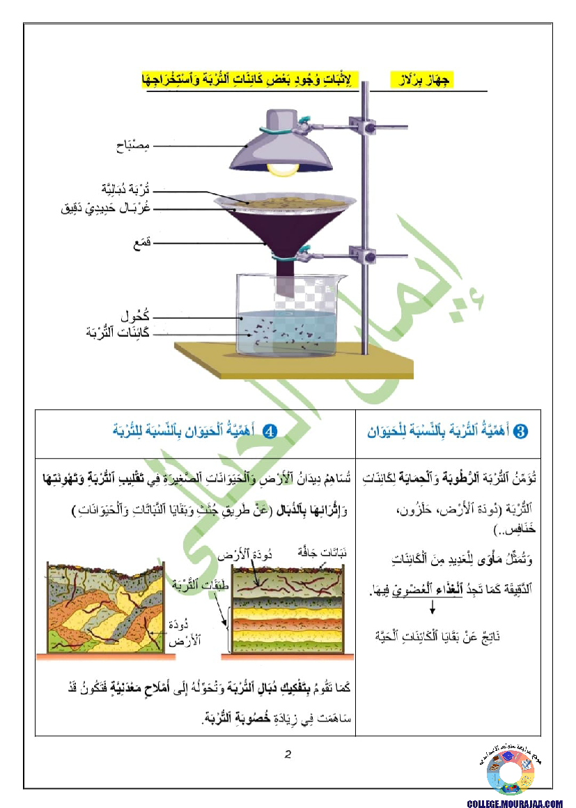 التربة_و_علاقتها_بالكائنات_الحية
