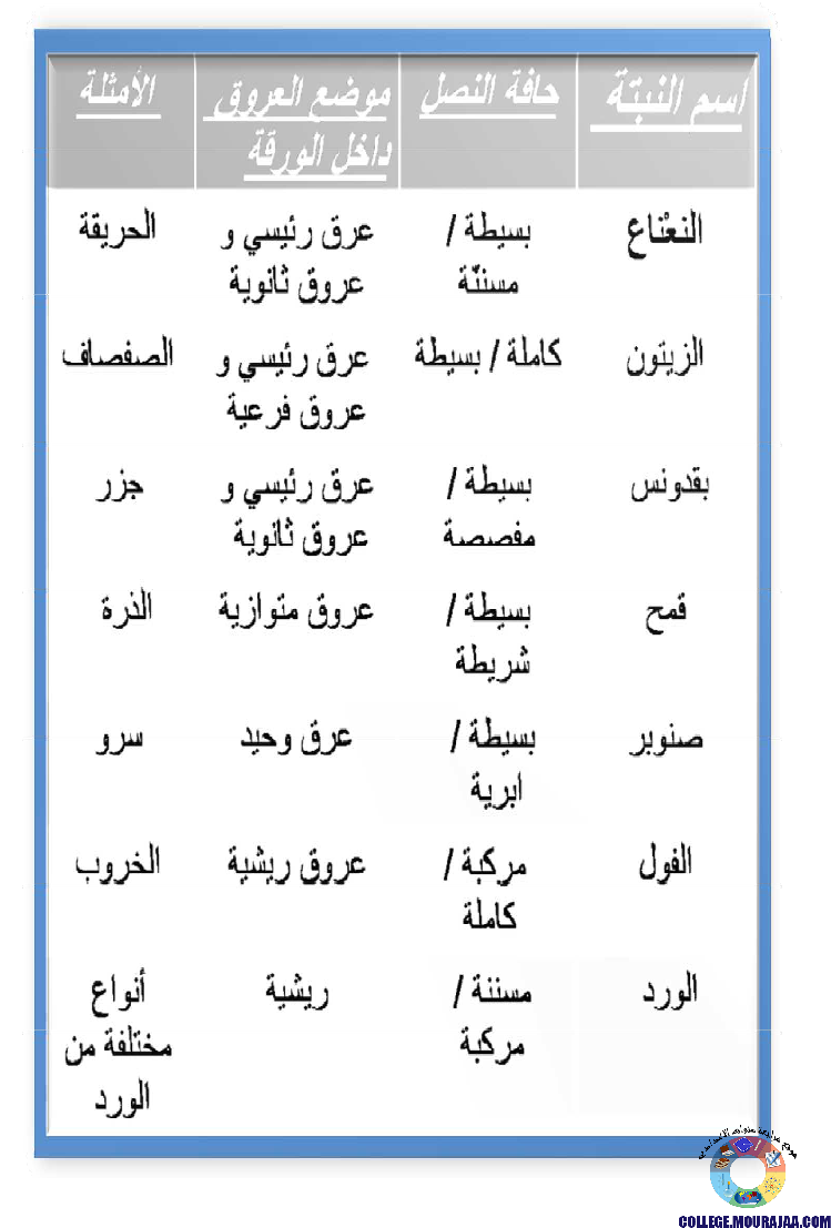 النباتات_الزهرية_تنوعها_و_تصنيفها