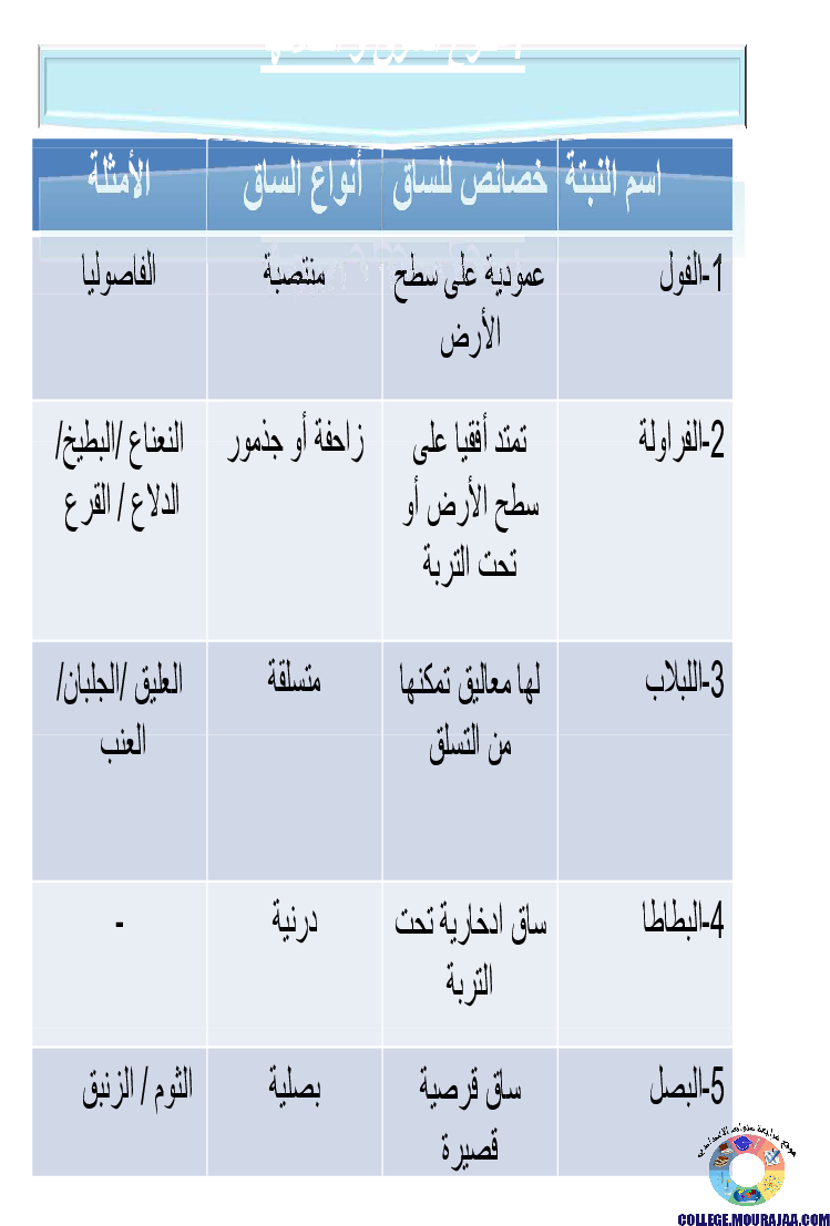 النباتات_الزهرية_تنوعها_و_تصنيفها