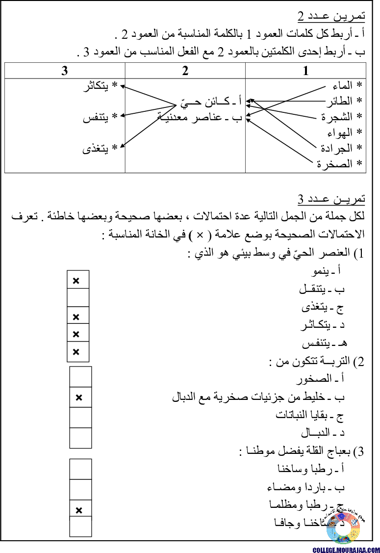 تمارين حول العلاقة بين مكونات الوسط البيئي