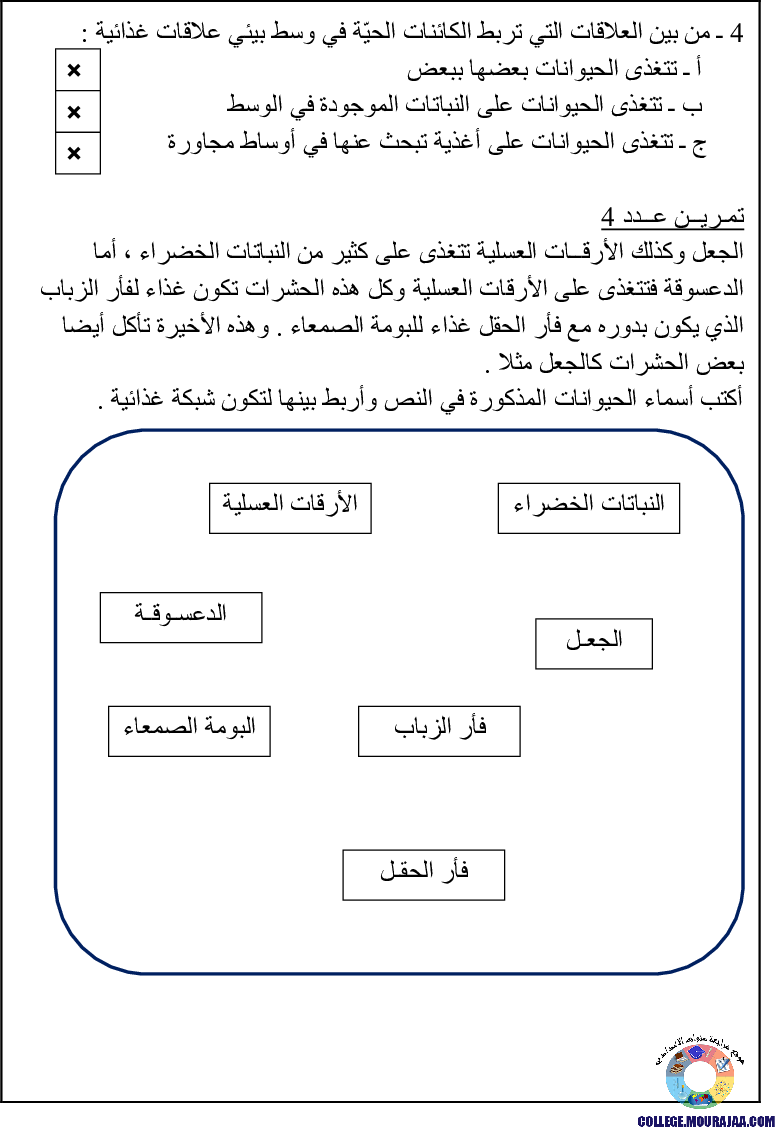 تمارين حول العلاقة بين مكونات الوسط البيئي