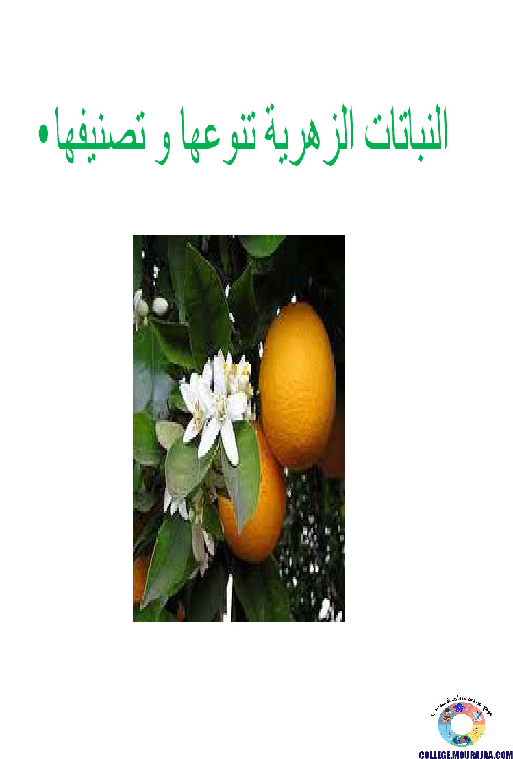 النباتات الزهرية تنوعها و تصنيفها