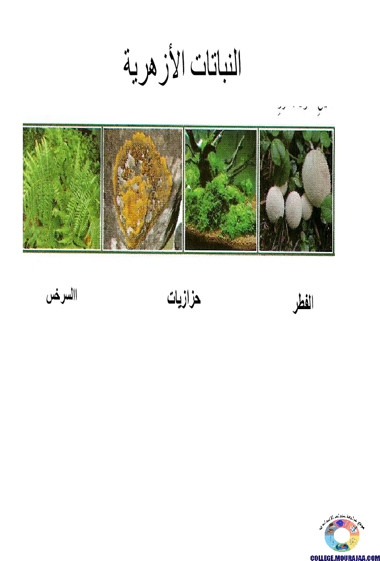 النباتات_الزهرية_تنوعها_و_تصنيفها