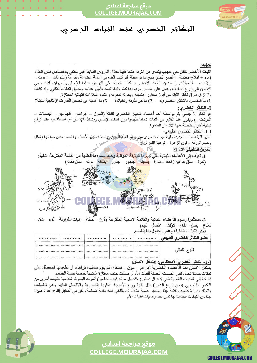 التكاثر الخضري عند النبات الزهري