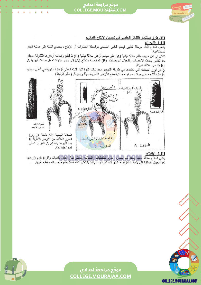التكاثر الخضري عند النبات الزهري