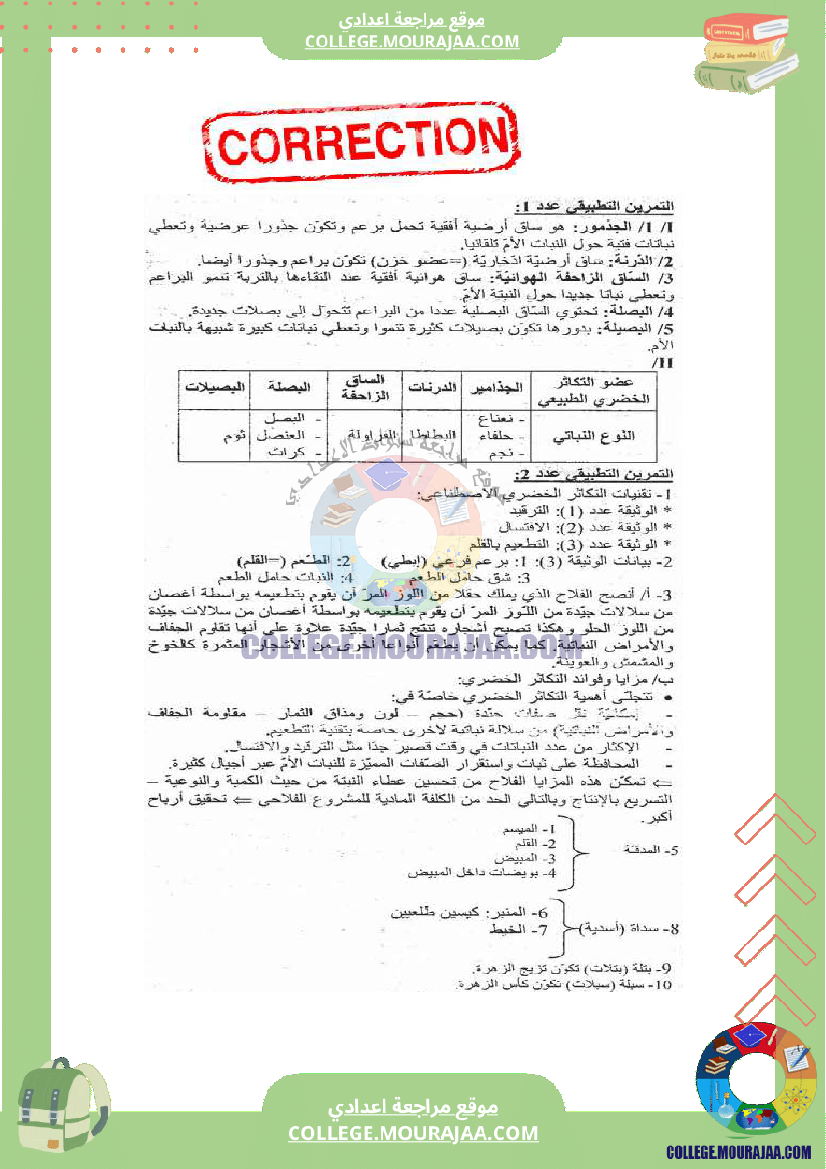 التكاثر الخضري عند النبات الزهري