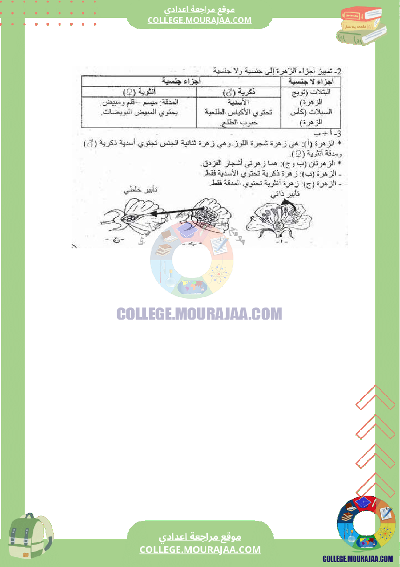 التكاثر الخضري عند النبات الزهري