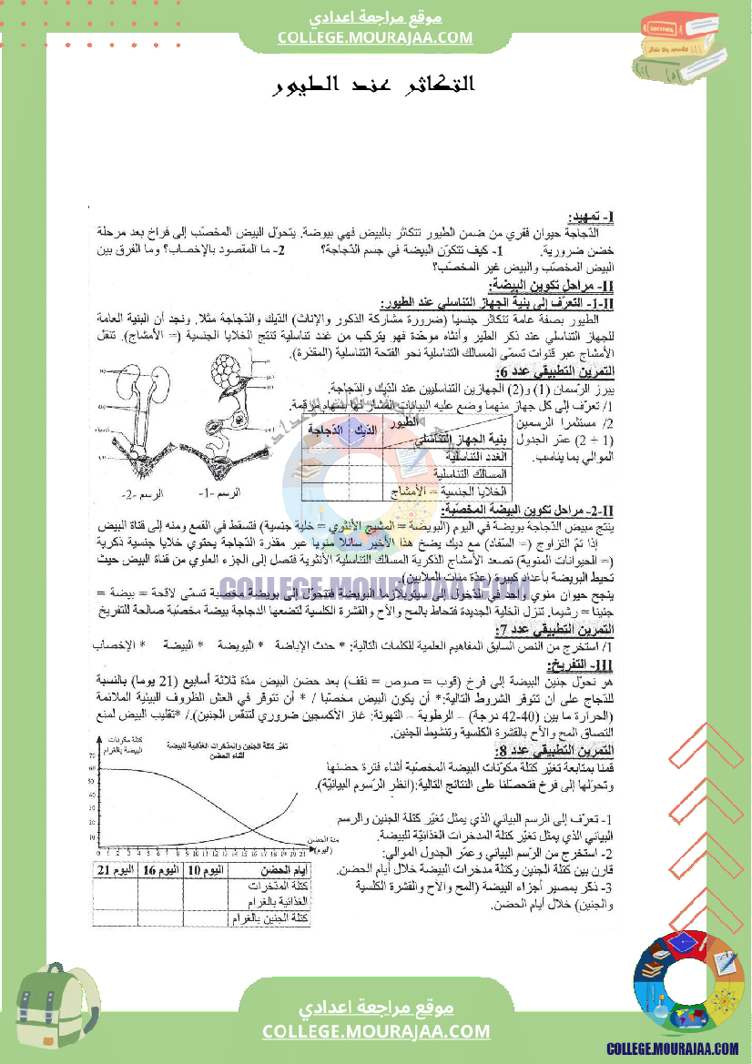 التكاثر عند الطيور