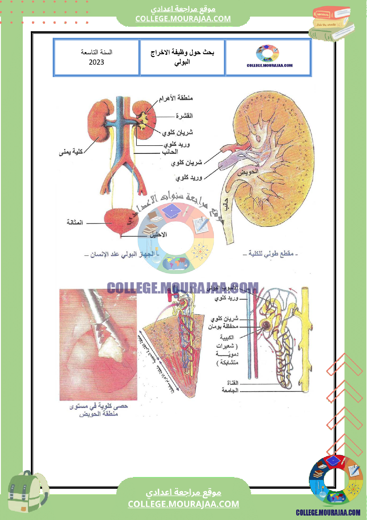 بحث حول وظيفة الاخراج البولي سنة التاسعة