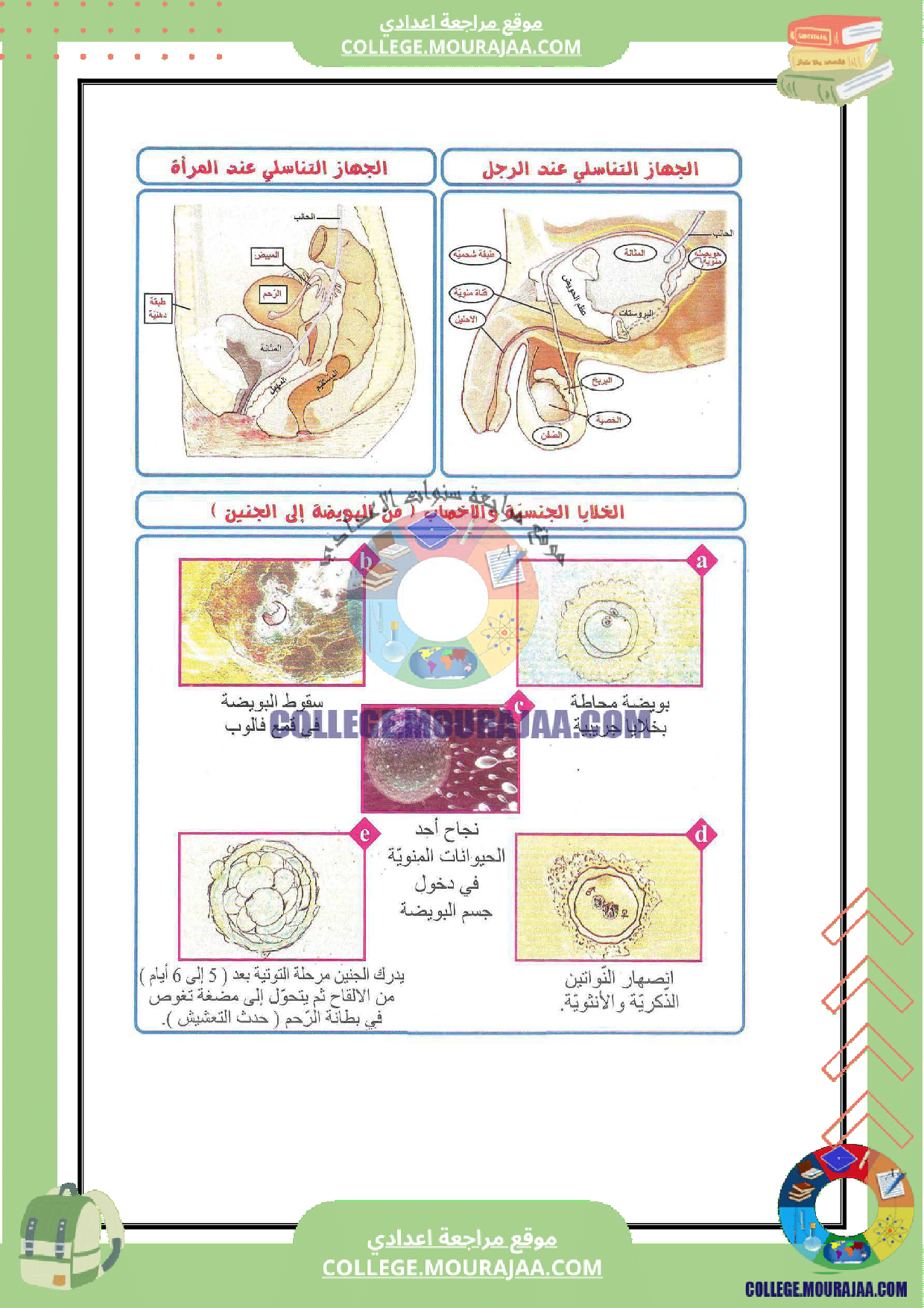 بحث_حول_وظيفة_الاخراج_البولي_سنة_التاسعة