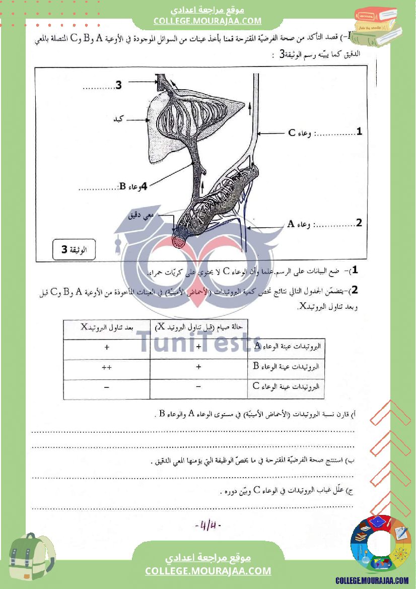 تاسعة_أساسي_فروض_تأليفية_svt