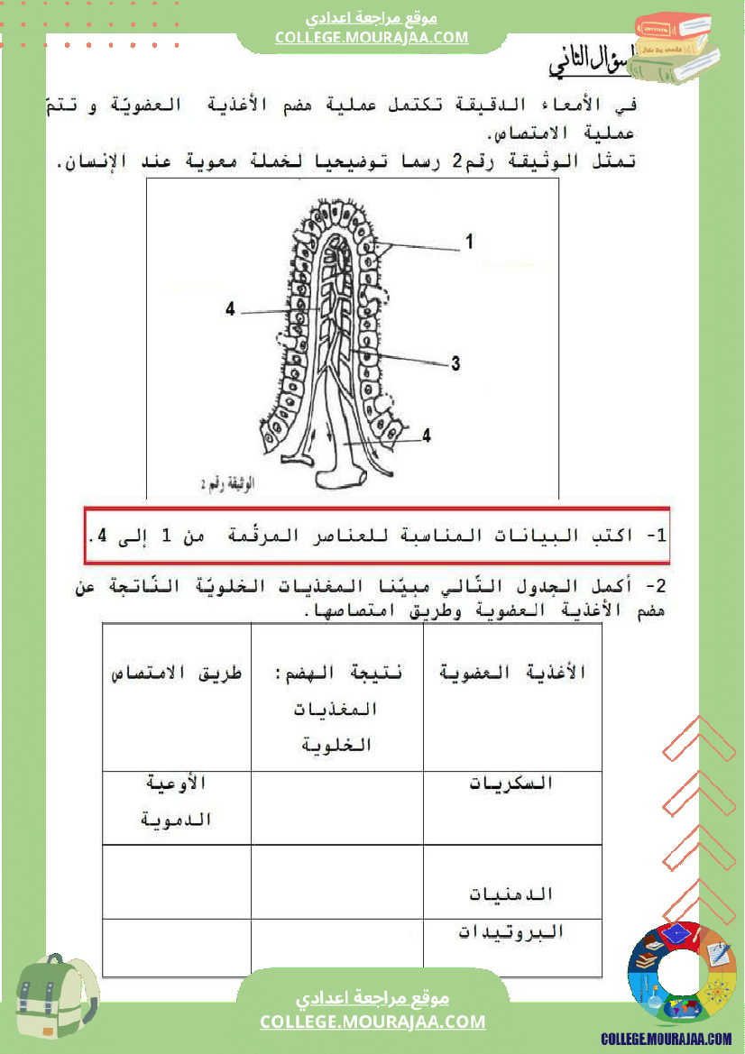 تمارين علوم الحياة و الأرض 9 أساسي حول الهضم والإمتصاص