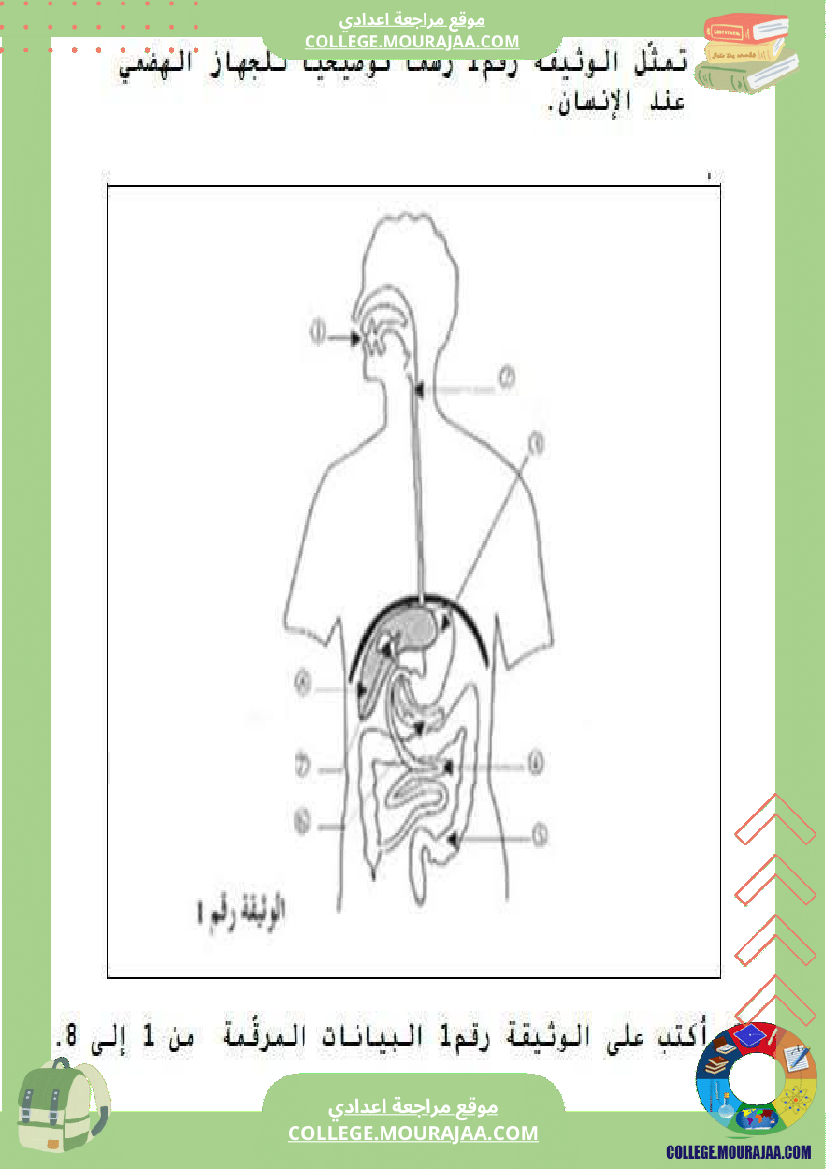 تمارين علوم الحياة و الأرض 9 أساسي حول الهضم والإمتصاص