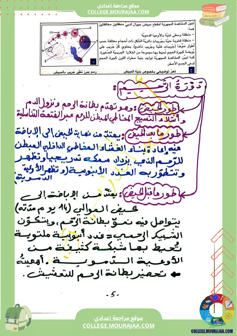 وثائق مهمة في مادة علوم الحياة والأرض للسنوات التاسعة نموذجي