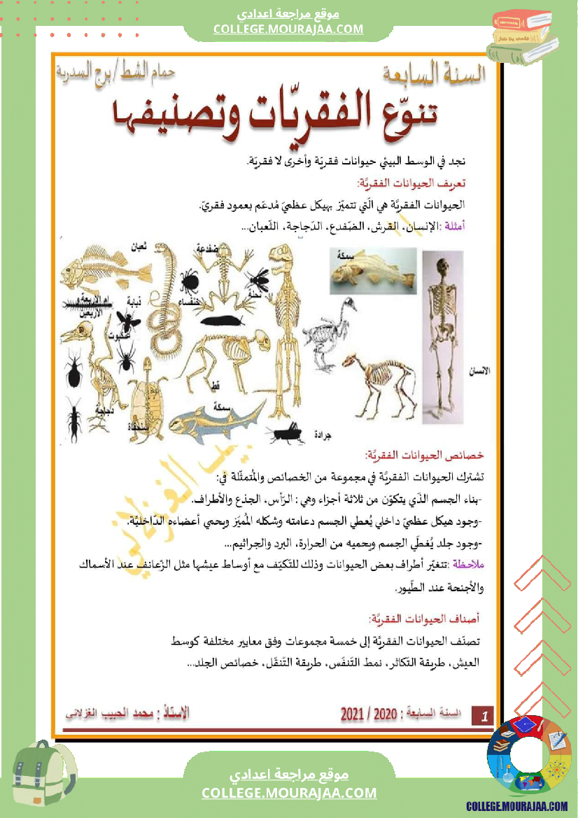 السنة السابعة تنو ع الفقريات