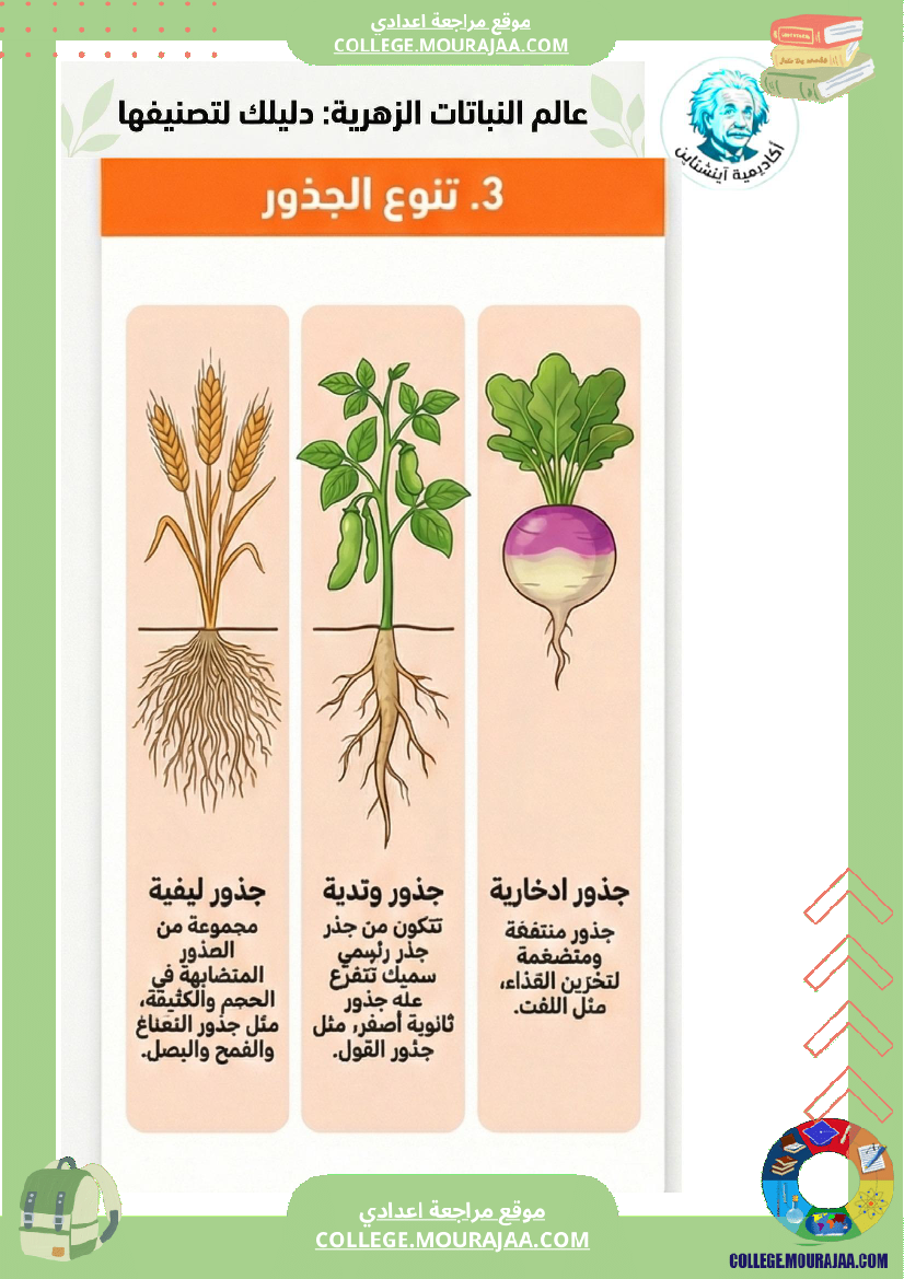 ملخصات دروس علوم الحياة والأرض تنو ع النباتات الزهري ة وتصنيفها ا الثلاثي الثاني السنة ا