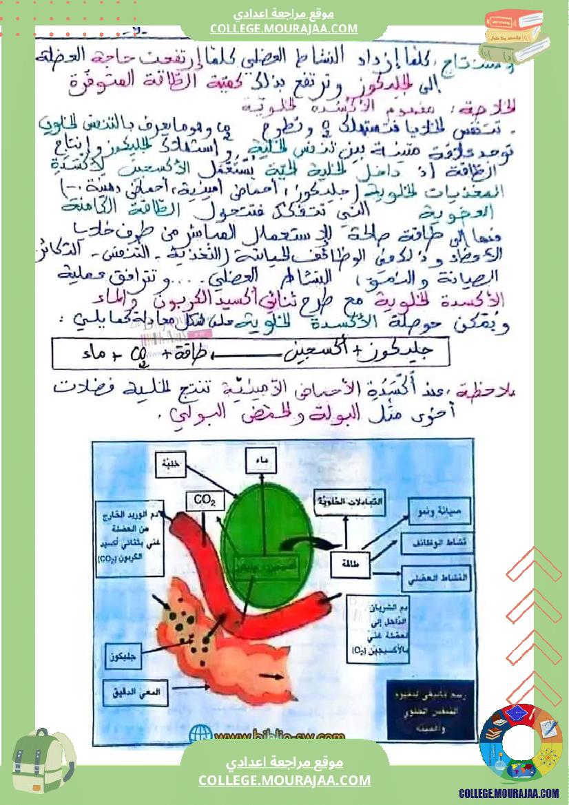 سنة تاسعة علوم حياة والأرض