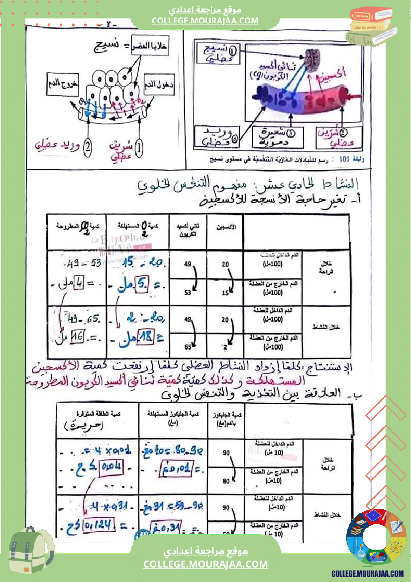 سنة تاسعة علوم حياة والأرض