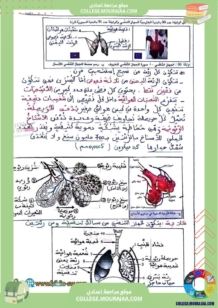 سنة تاسعة علوم حياة والأرض