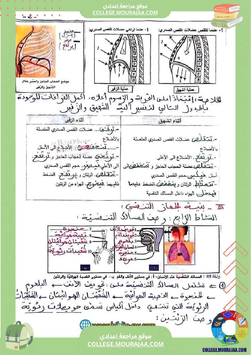 سنة تاسعة علوم حياة والأرض