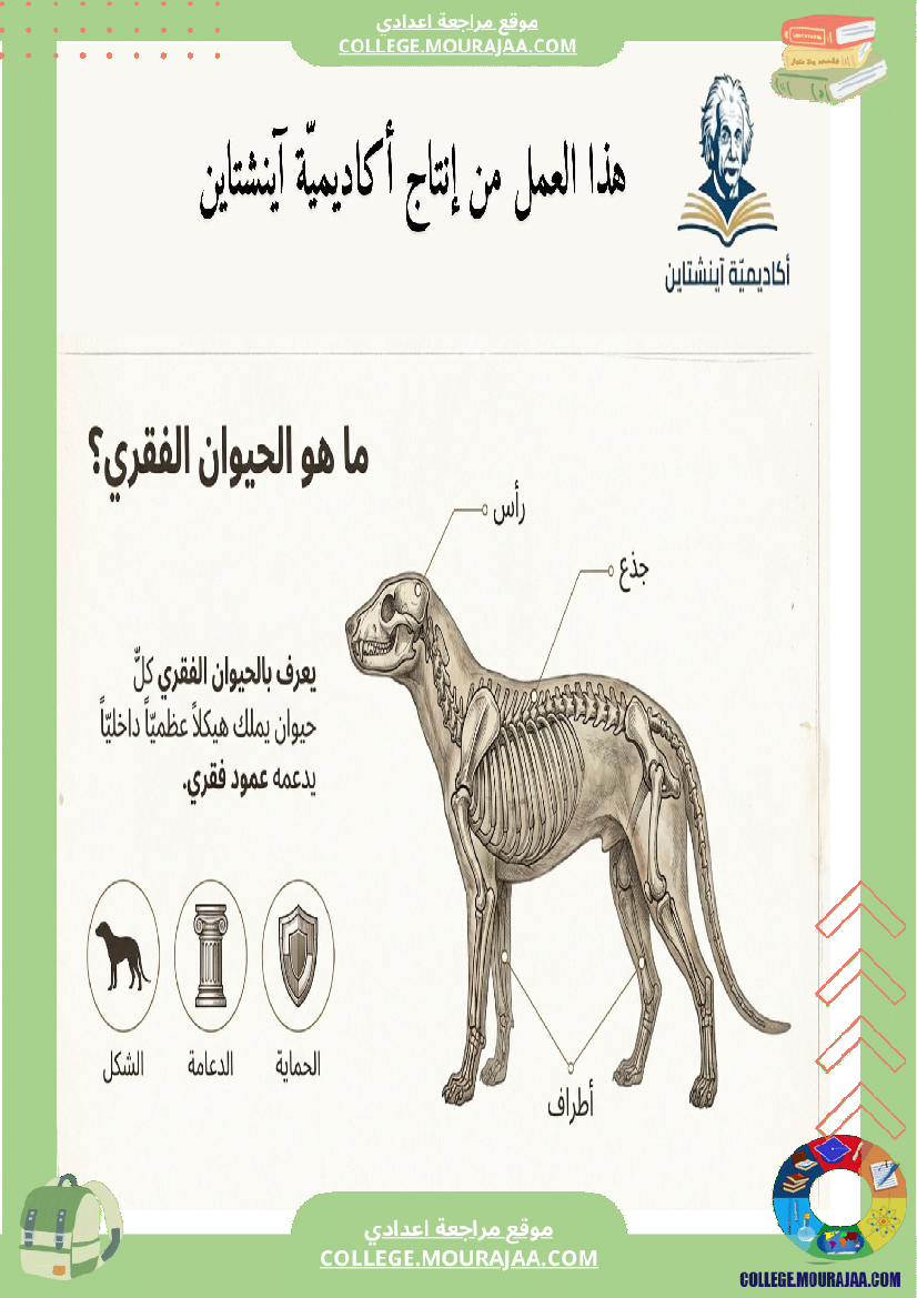تنو ع الفقري ات وتصنيفها ملخصات دروس علوم الحياة