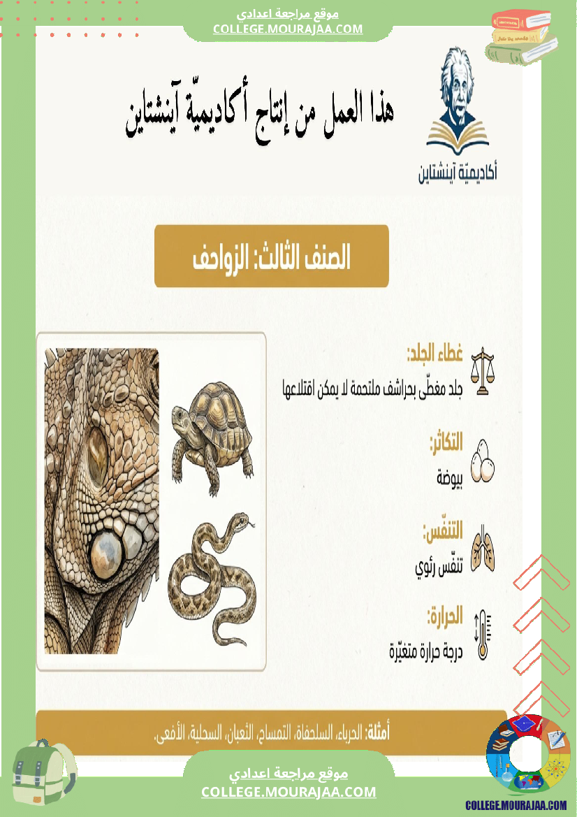 تنو ع الفقري ات وتصنيفها ملخصات دروس علوم الحياة