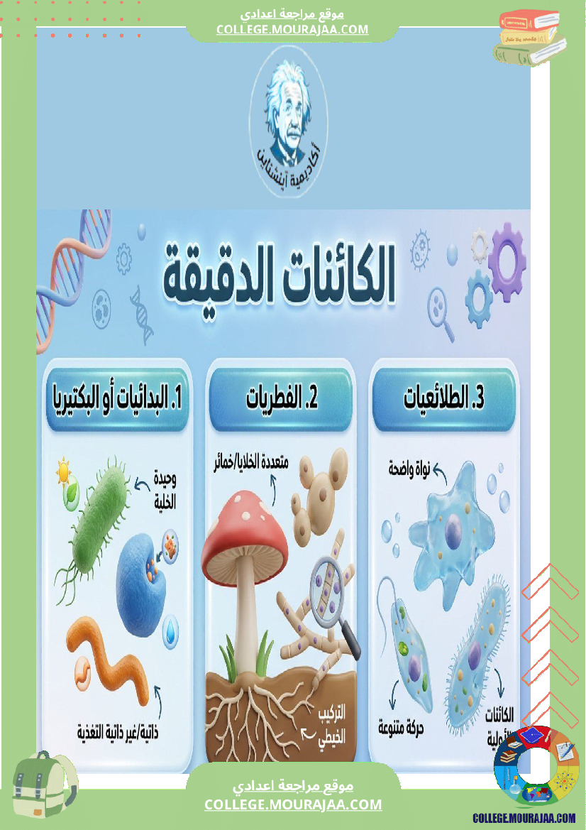 تنو ع الكائنات الدقيقة ملخ صات دروس علوم الحياة والأرض السنة السابعة أساسي