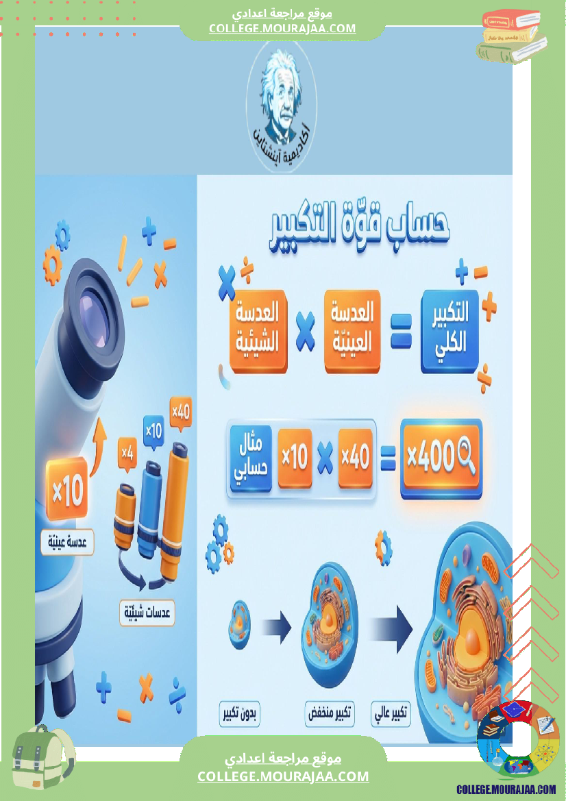 تنو ع الكائنات الدقيقة ملخ صات دروس علوم الحياة والأرض السنة السابعة أساسي