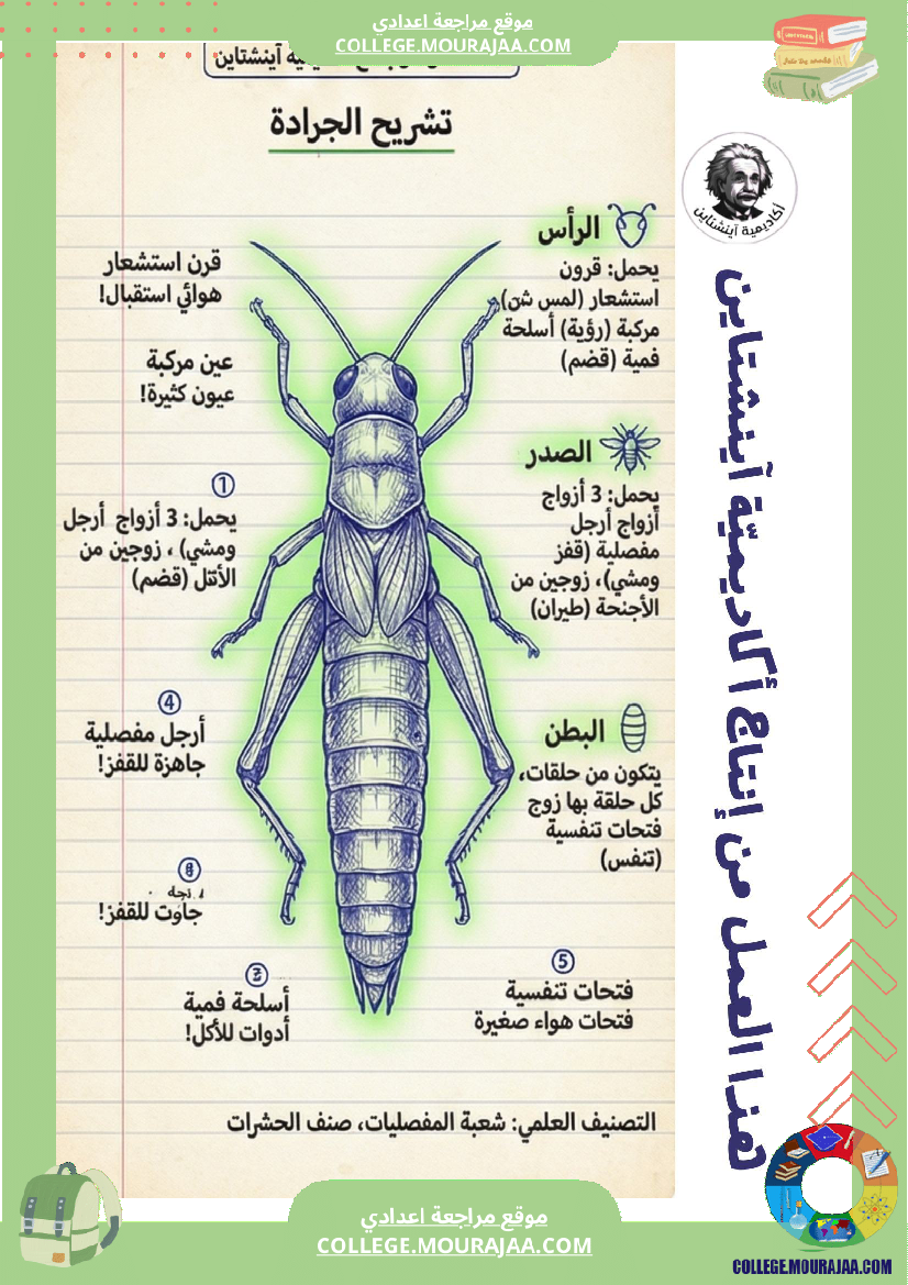 فرض مراقبة علوم الحياة والأرض الثلاثي الثاني السنة السابعة أساسي الثلاثي الثاني
