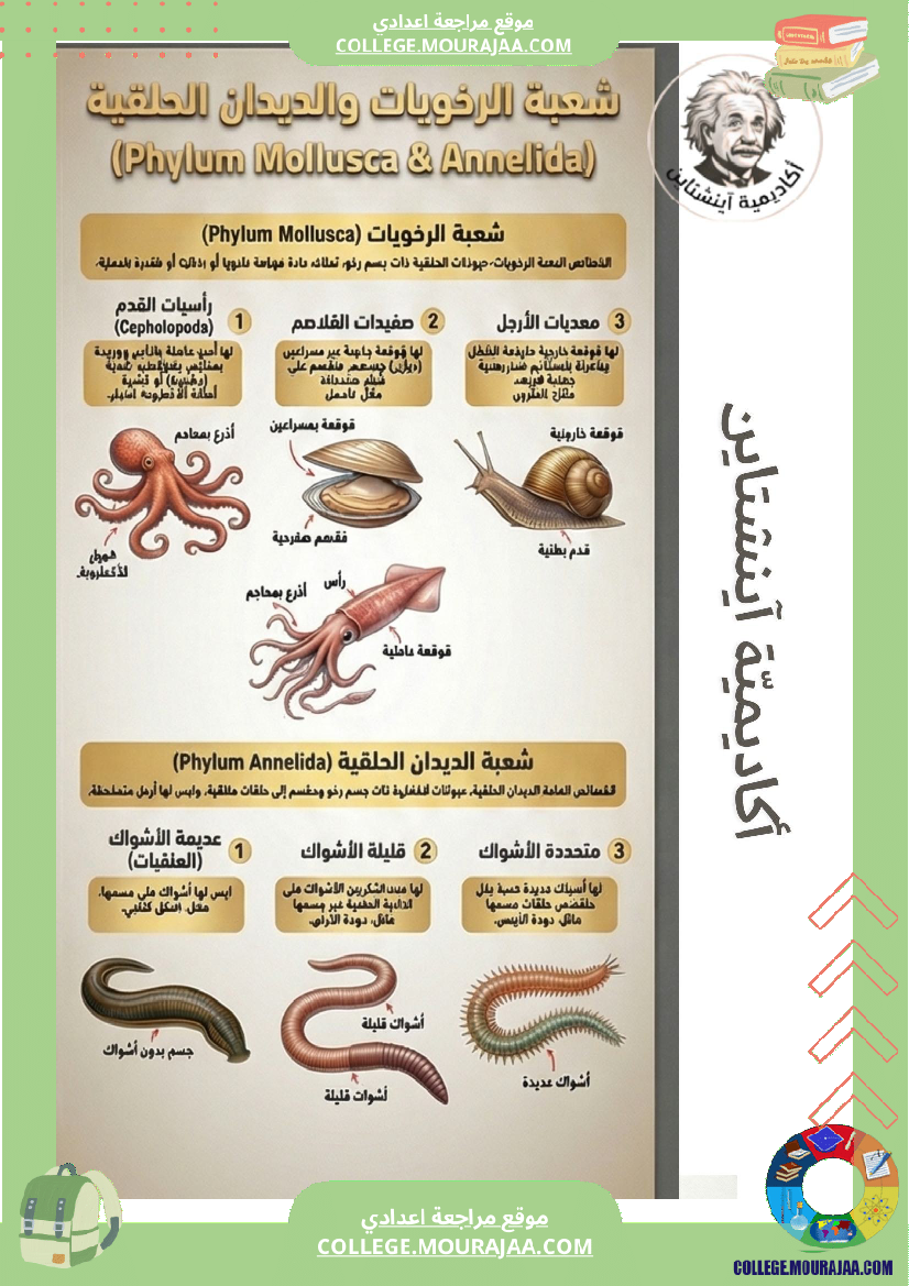 ملخصات دروس علوم الحياة والأرض السنة السابعة أساسي